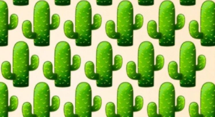 Solo una mente muy inteligente puede encontrar el cactus diferente en solo 9 segundos