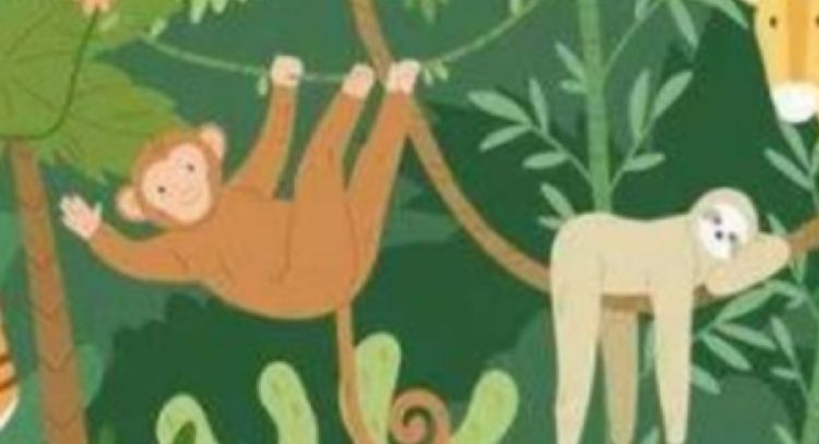 Solo una mente extremadamente inteligente puede encontrar la tortuga en la selva en solo 7 segundos