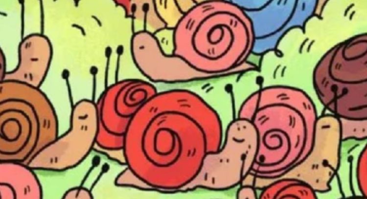 Solo una mente extremadamente inteligente puede encontrar la rosa intrusa en solo 7 segundos