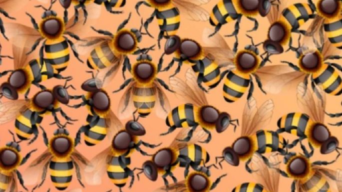 Solo una mente muy inteligente puede encontrar el girasol en solo 9 segundos