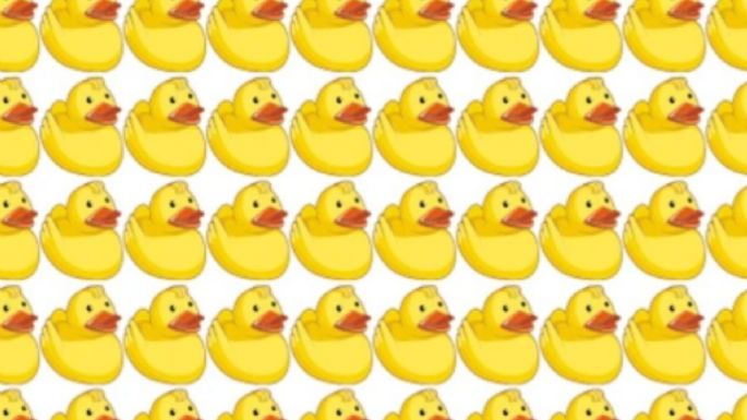 Solo una mente muy inteligente puede encontrar el patito diferente en solo 7 segundos