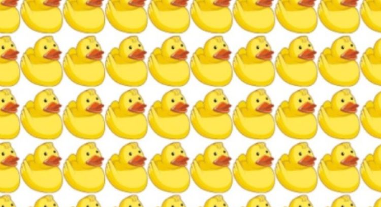 Solo una mente muy inteligente puede encontrar el patito diferente en solo 7 segundos