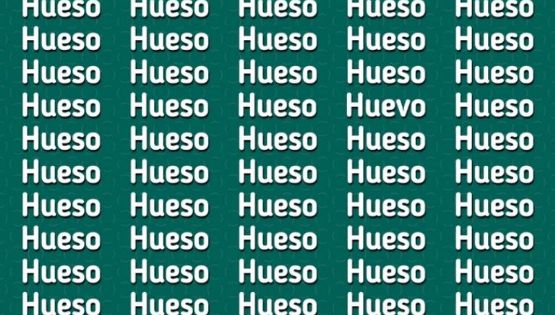 ¿Puedes resolverlo? Solo un genio puede encontrar la palabra ‘Huevo’ en solo 6 segundos