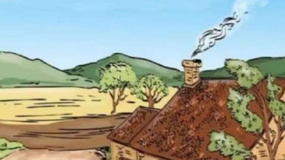 Solo una mente superdotada puede encontrar el error en la imagen en solo 7 segundos